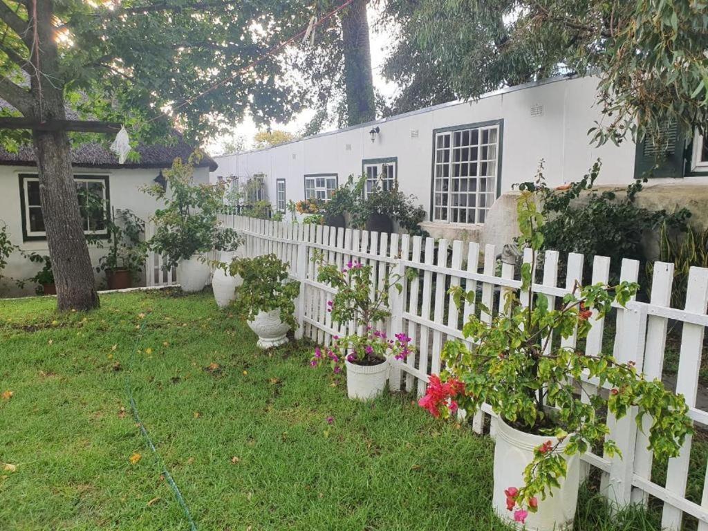 Meyerhof Apartment Cape Town Exterior foto