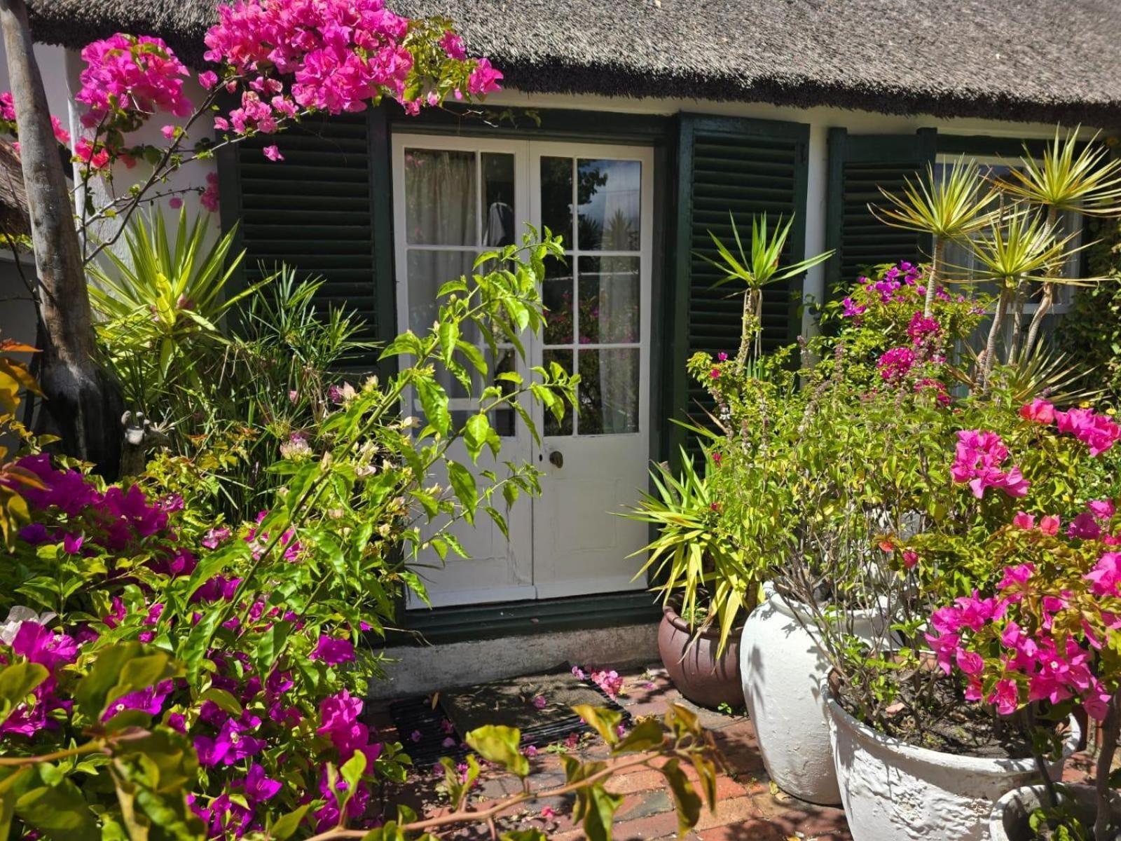 Meyerhof Apartment Cape Town Exterior foto