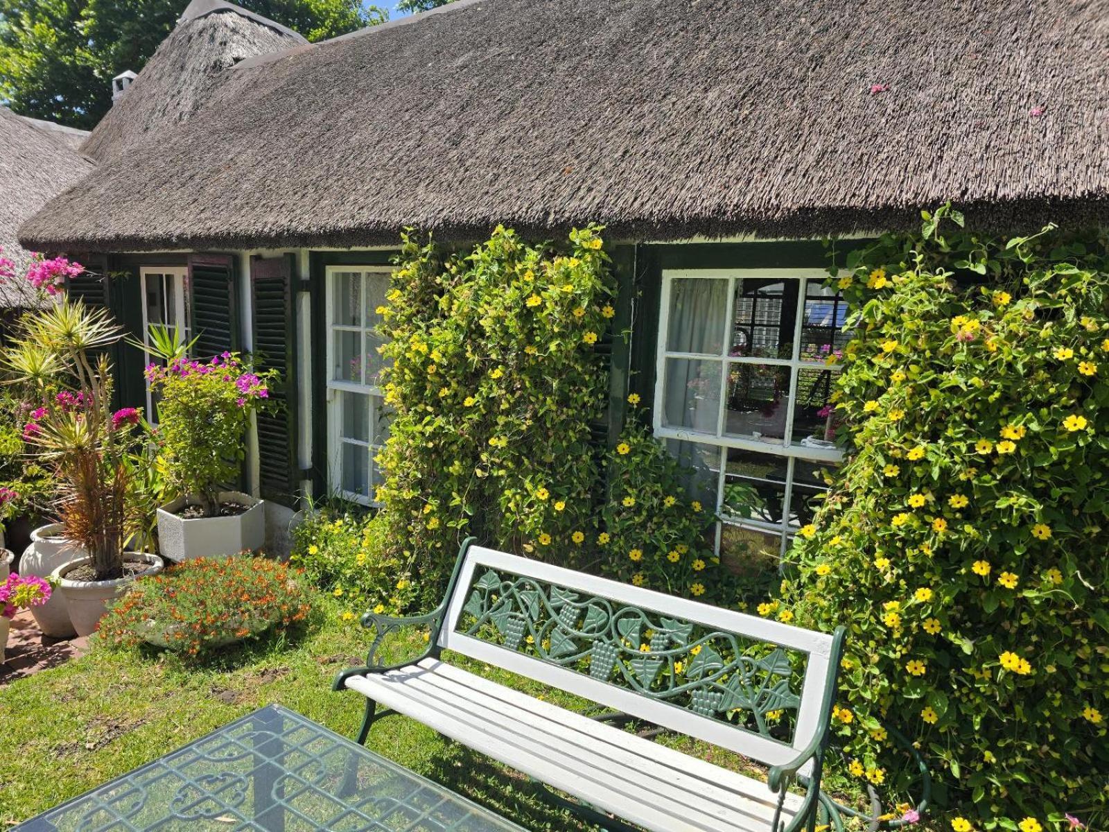 Meyerhof Apartment Cape Town Exterior foto